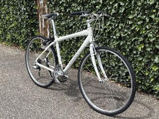 Koga-Miyata  SPORT picture 6