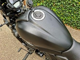 Kawasaki  VULCAN S ARROWS PUIG CUSTOM picture 20