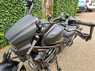 Kawasaki  VULCAN S ARROWS PUIG CUSTOM picture 15