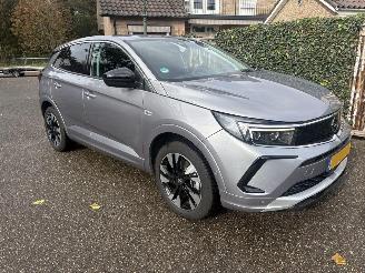 Opel Grandland 1.6 Turbo Plug-In Hybrid 180 Pk Automaat picture 2