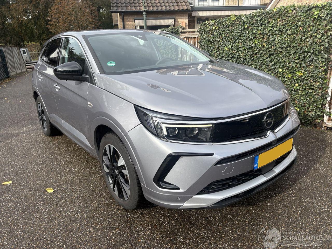 Opel Grandland 1.6 Turbo Plug-In Hybrid 180 Pk Automaat
