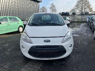 Schadeauto Ford Ka 1.2 Hatchback  Benzine 1.242cc 51kW (69pk) FWD 2008-10/2016-05 (RU8) 169A4000; EURO4 2009/11