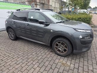 Citroën C4 cactus 1.2 PureTech 82 12V Hatchback 4Dr Benzine picture 9