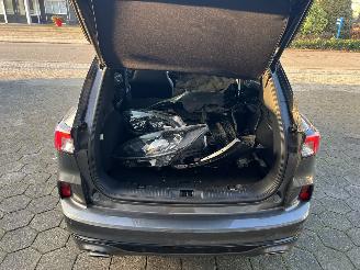 Ford Kuga 2.5 PHEV ST-Line X picture 28