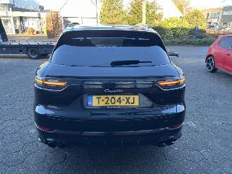 Porsche Cayenne 3.0 E-Hybrid Platinum Edition picture 7