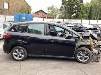 Ford C-Max C-Max (DXA), MPV, 2010 / 2019 1.0 Ti-VCT EcoBoost 12V 100 picture 6