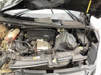 Ford C-Max C-Max (DXA), MPV, 2010 / 2019 1.0 Ti-VCT EcoBoost 12V 100 picture 10
