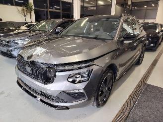 Skoda Kamiq Monte Carlo DSG Pano Matrix Camera Vol picture 24