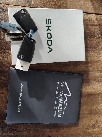 Skoda Kamiq Monte Carlo DSG Pano Matrix Camera Vol picture 32