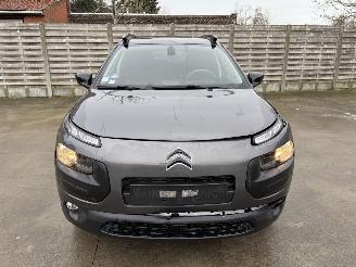 Citroën C4 cactus AUTO picture 19
