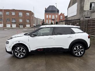 Citroën C4 cactus 1.5 BLUE HDI - 16V TURBO picture 21