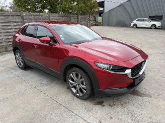 Vaurioauto  passenger cars Mazda CX-30 1 2.0i - 16V TURBO HYBRID 2019/12