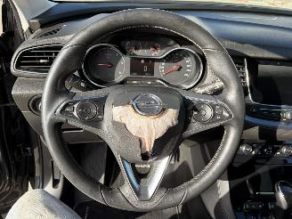 Opel Grandland X TURBO D 1.6 CDTi picture 12