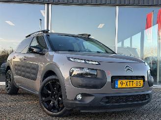 Citroën C4 cactus 1.2 PureTech NAP picture 2