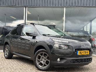 Citroën C4 cactus 1.2 PureTech Shine picture 2