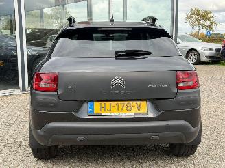 Citroën C4 cactus 1.2 PureTech Shine picture 5