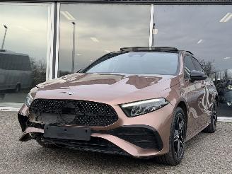 Mercedes A-klasse A250e AMGPANO/AUTOMAAT picture 9
