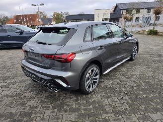 Audi S3 quattro 245 Kw picture 2