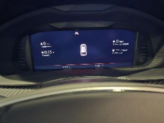 Skoda Kamiq MONTE CARLO picture 25