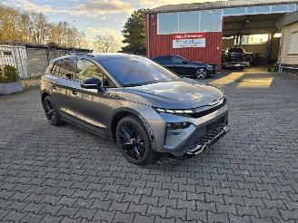 Avarii autoturisme Skoda Enyaq  2025/10