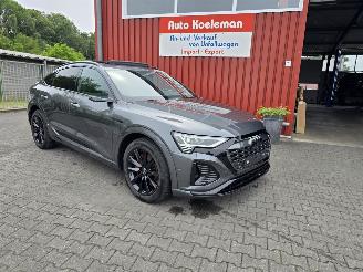 Audi Q8 E-TRON 114 kW aH picture 6