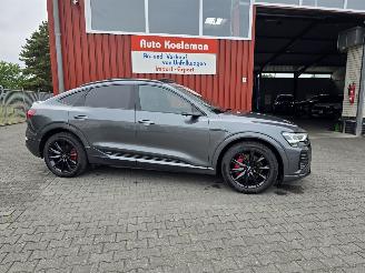 Audi Q8 E-TRON 114 kW aH picture 3