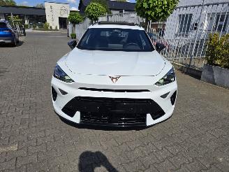Cupra Formentor VZ 245 kW PANORAMA picture 11