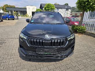 Skoda Karoq  picture 19