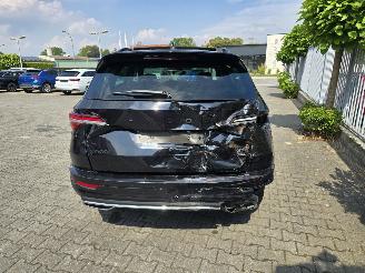 Skoda Karoq  picture 15