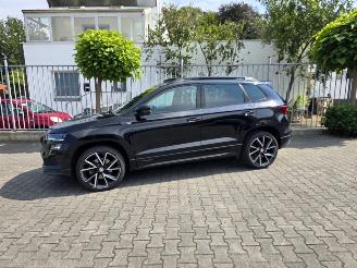 Skoda Karoq  picture 14