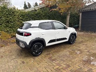 Dacia Spring extreme picture 6