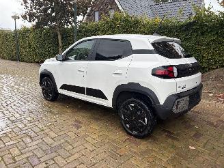 Dacia Spring extreme picture 3