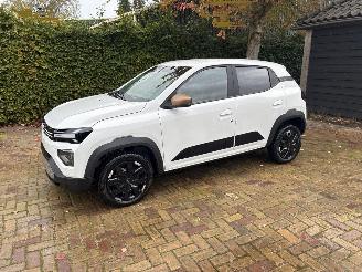 Dacia Spring extreme picture 2