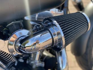 Harley-Davidson Dyna Fat bob 5HD picture 11