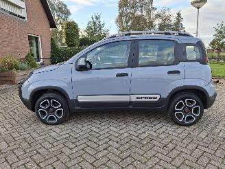 Schadeauto Fiat Panda 1.0 hybrid  cross   52kw 2021/5