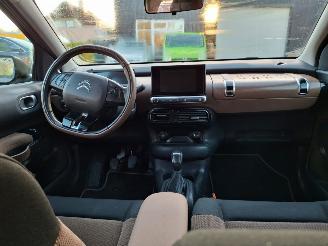 Citroën C4 cactus 1.2I 110PK NAVI  SHINE picture 9