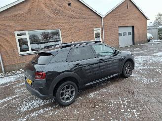 Citroën C4 cactus 1.2i  shine navi   clima picture 6