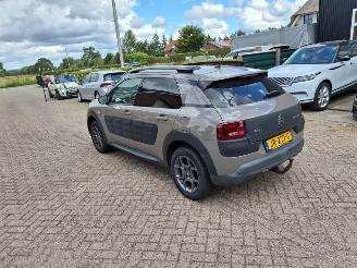 Citroën C4 cactus 1.2 82pk shine clima  navi picture 3
