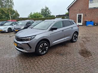 Schadeauto Opel Grandland 1.6 hybrid plug in     navi clima 2023/9