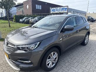 Coche accidentado Opel Grandland GRANDLAND X 1.2 TURBO AUTOMAAT BOUWJAAR 2019 10750 EURO 2019/9