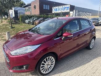 Schadeauto Ford Fiesta 1.0 TITANIUM 2e EIGENAAR HAGELSCHADE! BOUWJAAR 2013  3900 EURO 2013/3