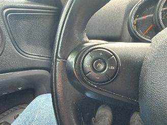 Mini Countryman COOPER SE ALL4 picture 27