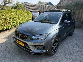 Cupra Ateca 2.0 TSI 300PK PANO BEATS picture 3
