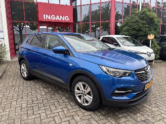 Opel Grandland X 1.2 Turbo Business Edition GEEN SCHADE PROBLEEM TURBO picture 8