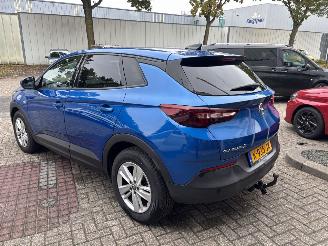 Opel Grandland X 1.2 Turbo Business Edition GEEN SCHADE PROBLEEM TURBO picture 4