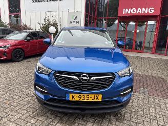  Opel Grandland X 1.2 Turbo Business Edition 2021/1