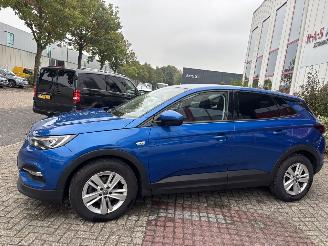 Opel Grandland X 1.2 Turbo Business Edition GEEN SCHADE PROBLEEM TURBO picture 3
