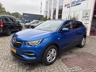Opel Grandland X 1.2 Turbo Business Edition GEEN SCHADE PROBLEEM TURBO picture 2