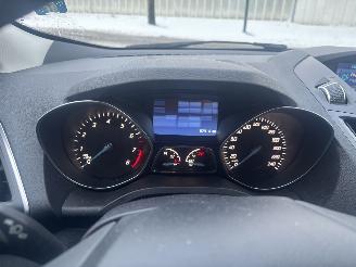 Ford Kuga 1.6 EcoBoost picture 16