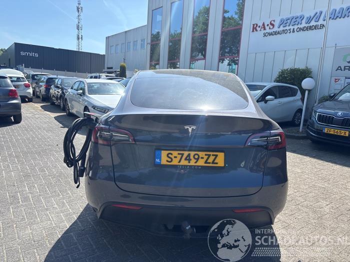 Tesla Model Y Model Y (5YJY), SUV, 2019 / 2025 RWD